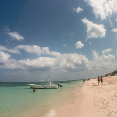 Lonely beach